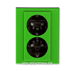 Розетка 2-ая электрическая с заземлением с защитными шторками, цвет Зеленый/Дымчатый черный, Levit, 
